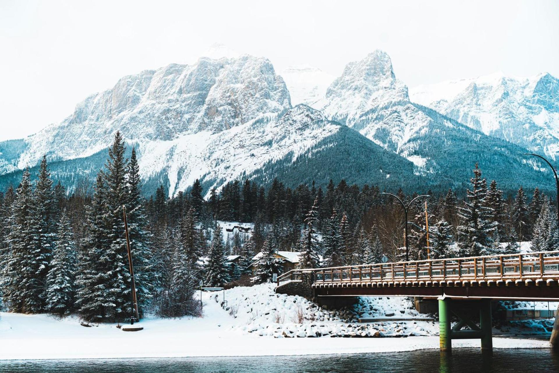 Апартаменти Special! New Downtown Mtn View Free Parking 2B&2B Кенмор Екстер'єр фото